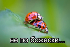 1747753367198