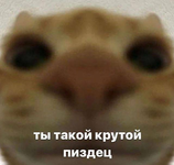 1748719445999