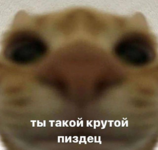1749303015215