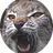 iSIMba