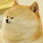 Doqy4