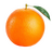 apeslin11