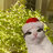 Sandre