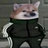 anywherer