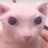 desgan
