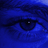 KoL123