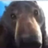 ggrezy