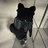 Gout123