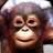 Serega228playe