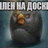 ofofofofofasdasd