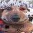 pudge99