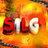 s1Lg1
