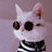 Docat