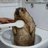 suction