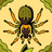 fear228125