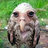 Alexey32424