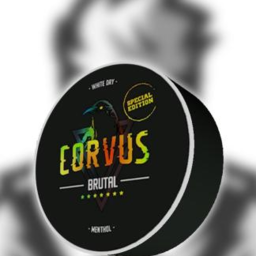 Аптечка Corvus